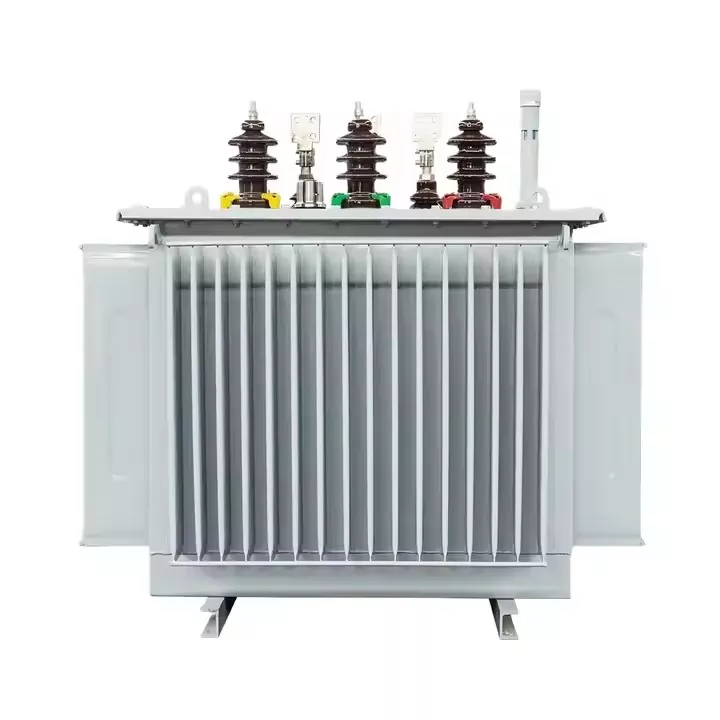 oil-immersed transformer